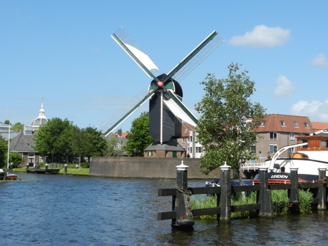 Molen