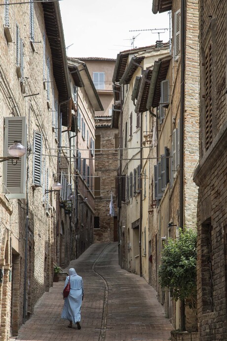 Urbino _ Italie