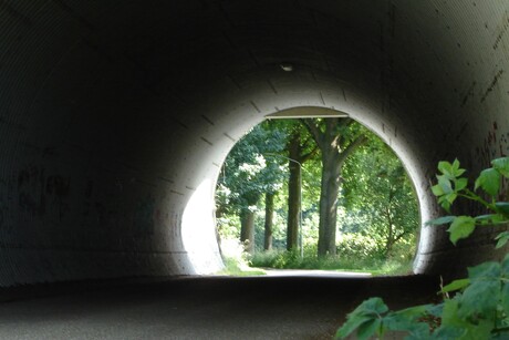 ... ergens gloort hoop
