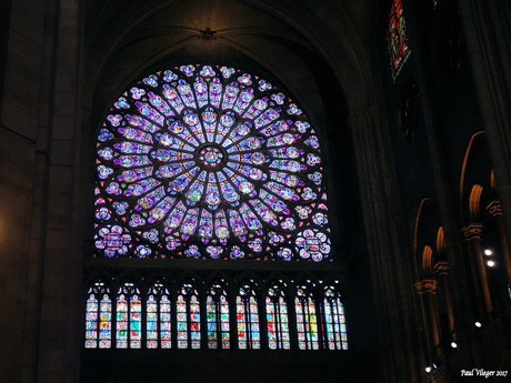 Notre Dame 2017