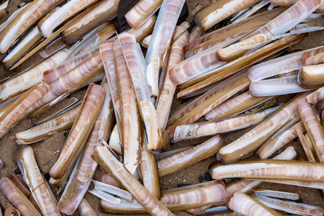 Scheermesjes op het strand