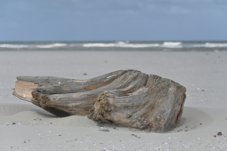 Een bonk hout op het strand bij Kijkduin