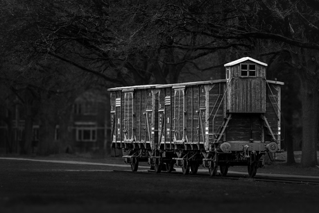 Kamp westerbork