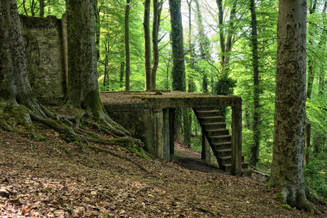 Oud openluchttheater in het bos. 