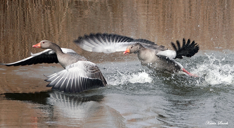 "Right behind you..."