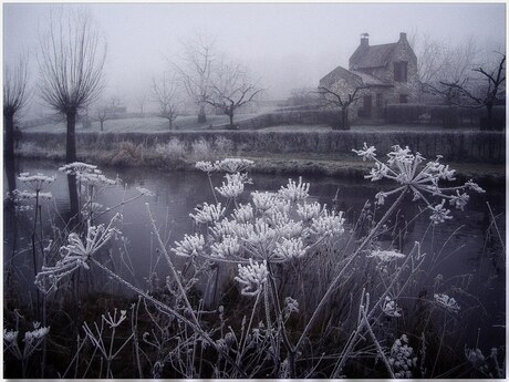 Koude ochtend 