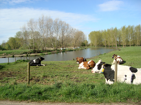 genieten