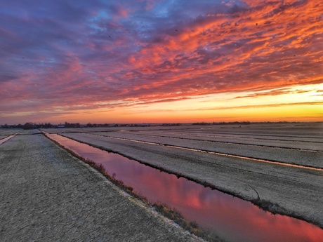 Morgenrood 