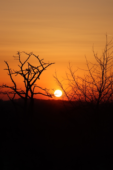 Orange sunset