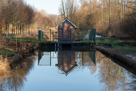 Reflectie in het water 