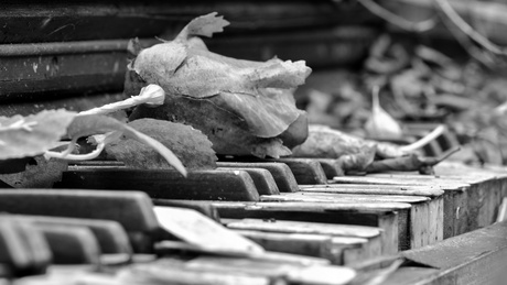 My old piano 🎵🎶🎵