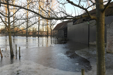 Molen in het ijs