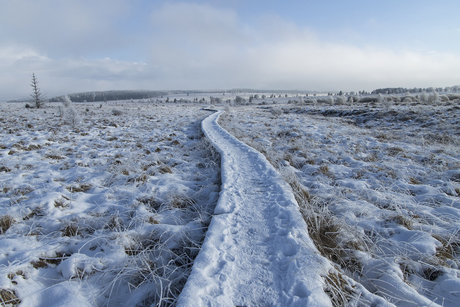 Winter in Ardennen