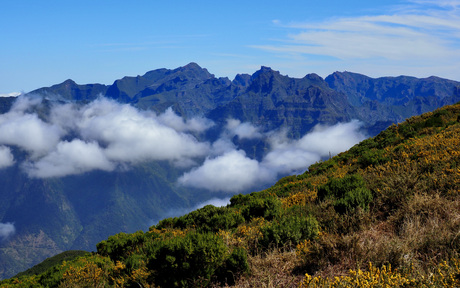 De schoonheid van Madeira