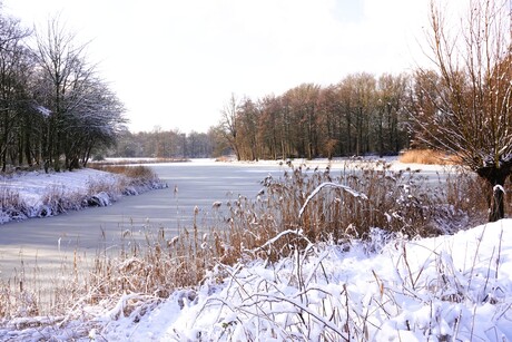 Winterlandschap