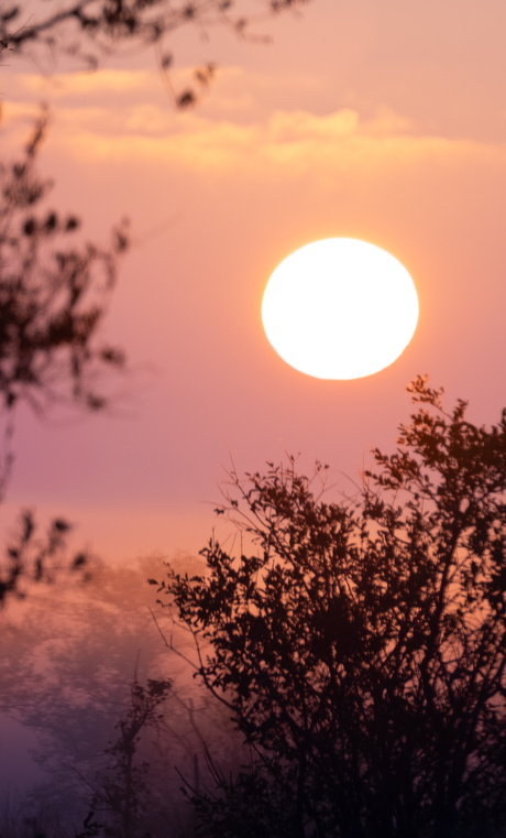 zonsopkomst in zuid afrika