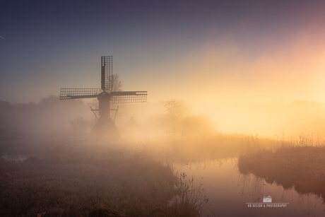 Molen de Wicher in de Weerribben op een prachtige ochtend in april