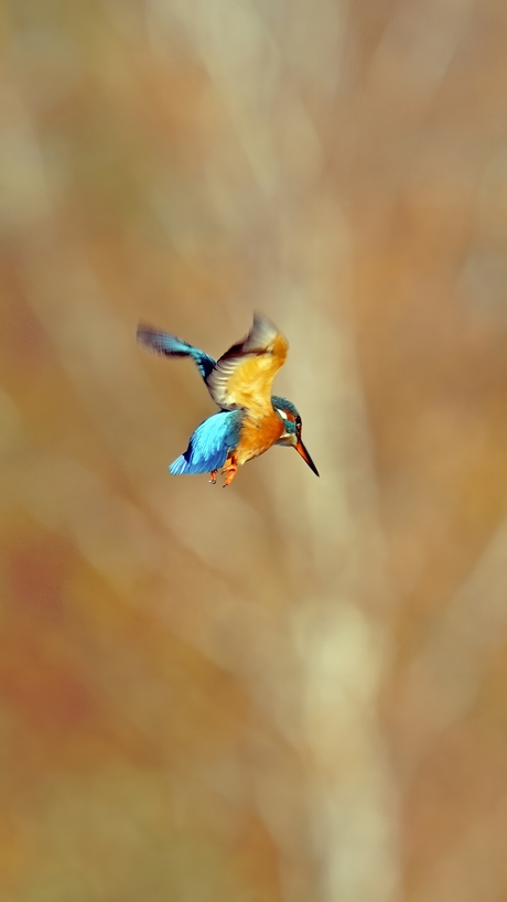 Effe blijven hangen.