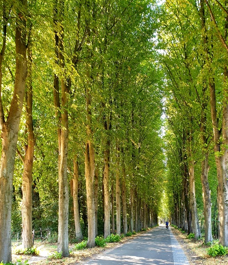 Op de fiets naar Wspenveld