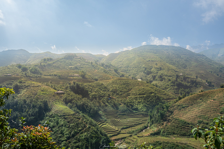 Rijstvelden Sapa 