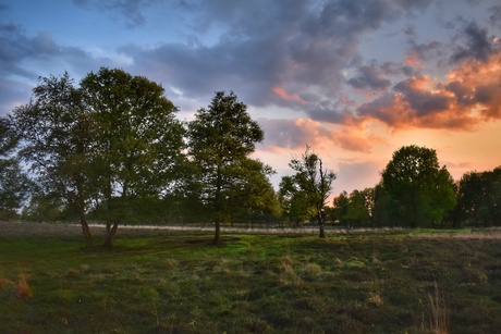 Zonsondergang Bargerveen