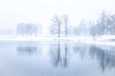 Winterlandschap