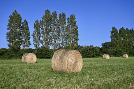 Hooibalen