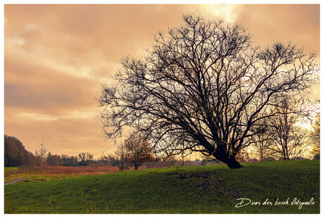 Prachtige landschaps foto