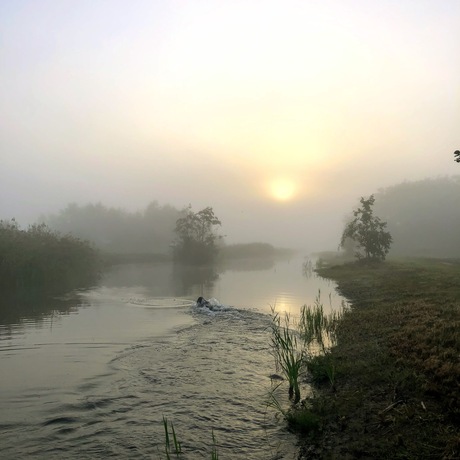 Mistige zonsopgang 