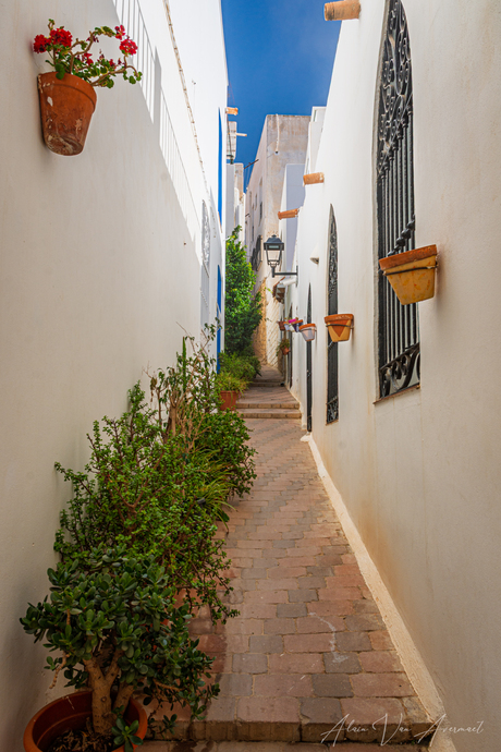 waar stilte is, groeit kracht