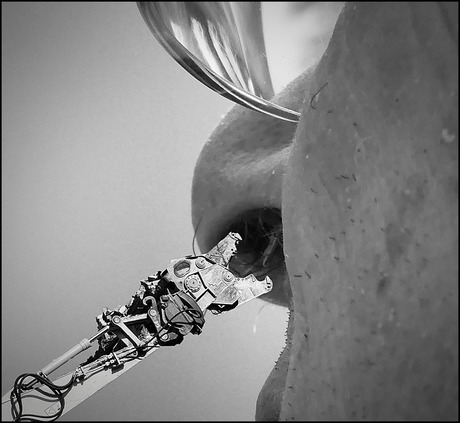 grof geweld.................