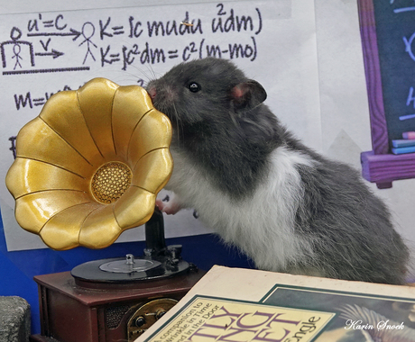 "Onze lieve Einstein..."