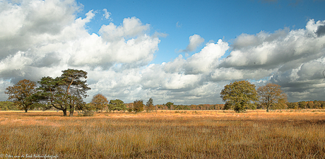 Wolkenlucht boven de de Dellebersterheide