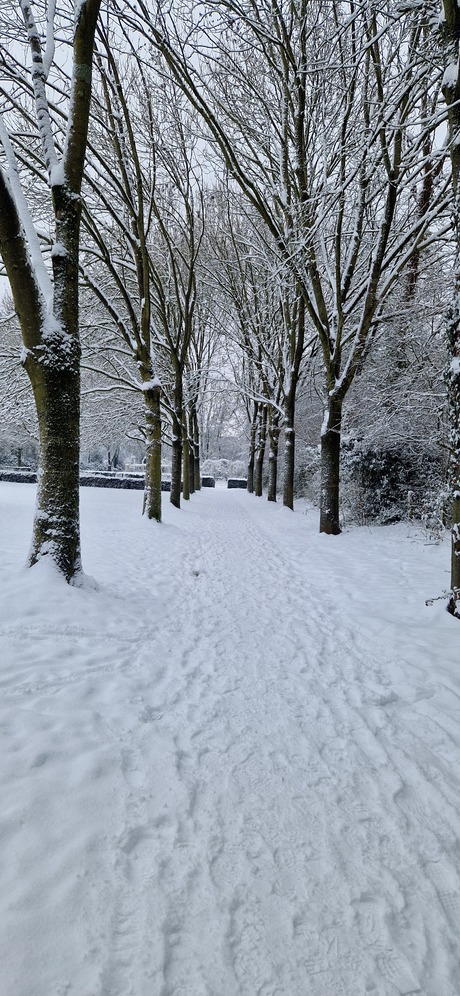 Sneeuw landgoed schothorst