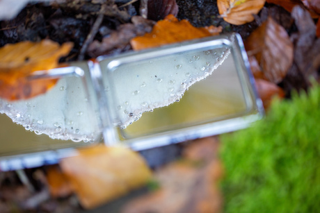 Herfst op de heide - 5