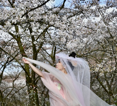 Japanse Vrouw in het Bloesempark