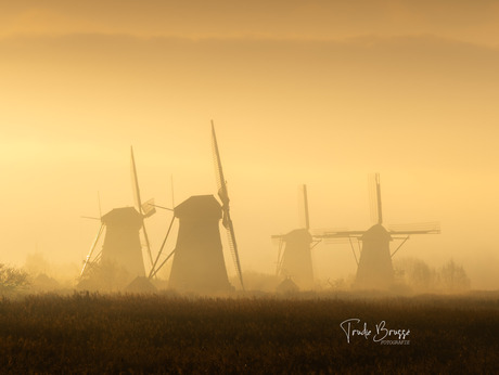 En toen was daar licht .. 