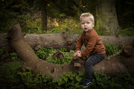 Spelen in het bos