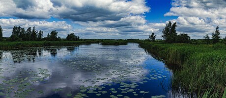 natuurlandschap