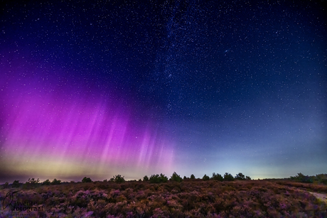 Aurora Borealis op de heide