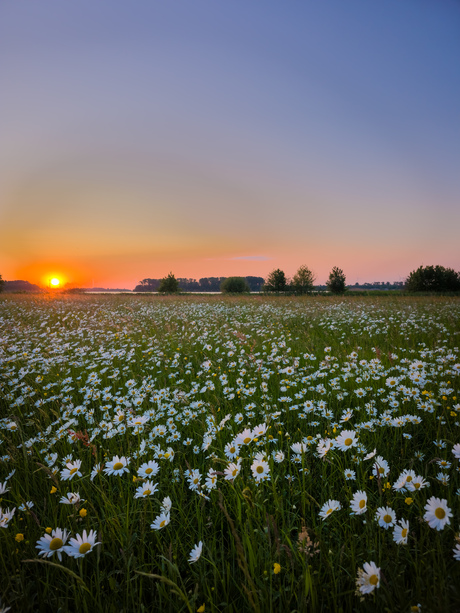 Zonsondergang Nunspeet