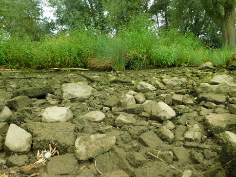 Laag water bij Grave