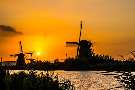 Kinderdijk 