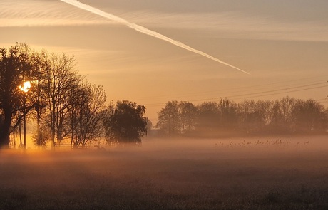 Ochtend zon met mist