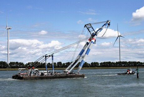 Bij Maassluis.