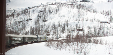 De Flåmsbana van Myrdal naar Flåm