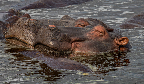 pfff een hoop gas belletjes vandaag. 