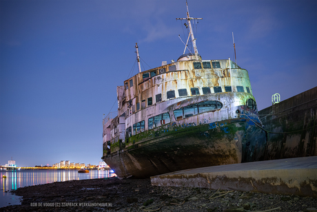 Oh Royal Iris! London