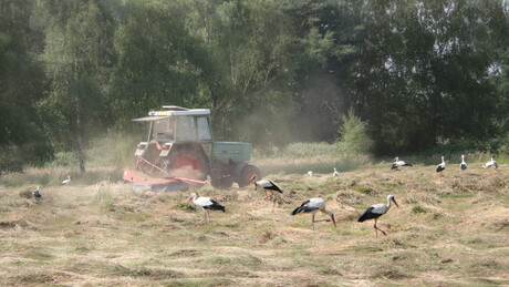 hooien als de zon schijnt,