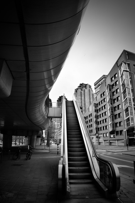 Den Haag in Zwart wit